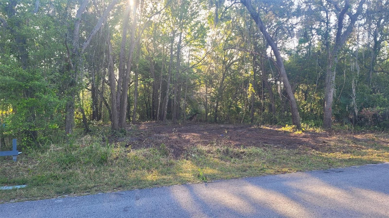 Marley Ave, New Port Richey, FL 34654