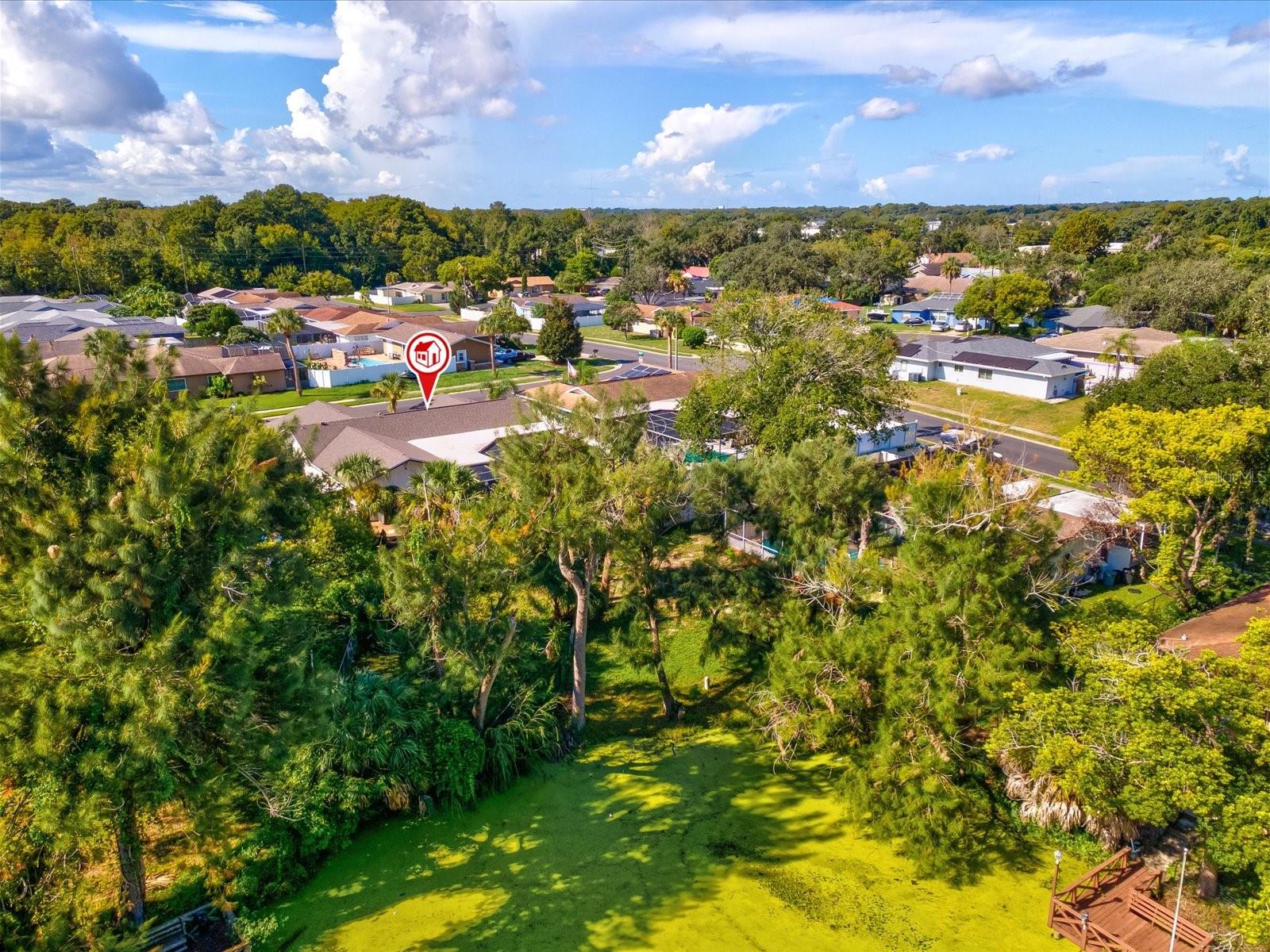 6907 Bottle Brush Dr, Port Richey, FL 34668