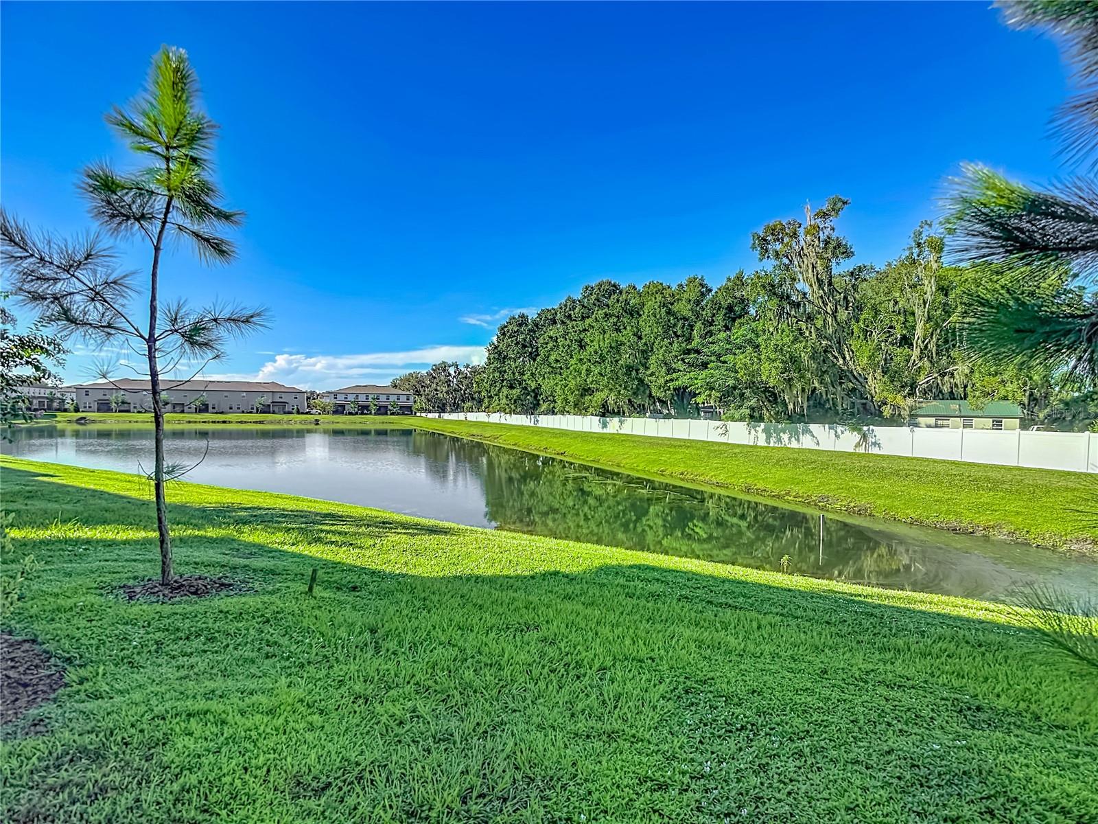 6279 Shiner St, Land O Lakes, FL 34638