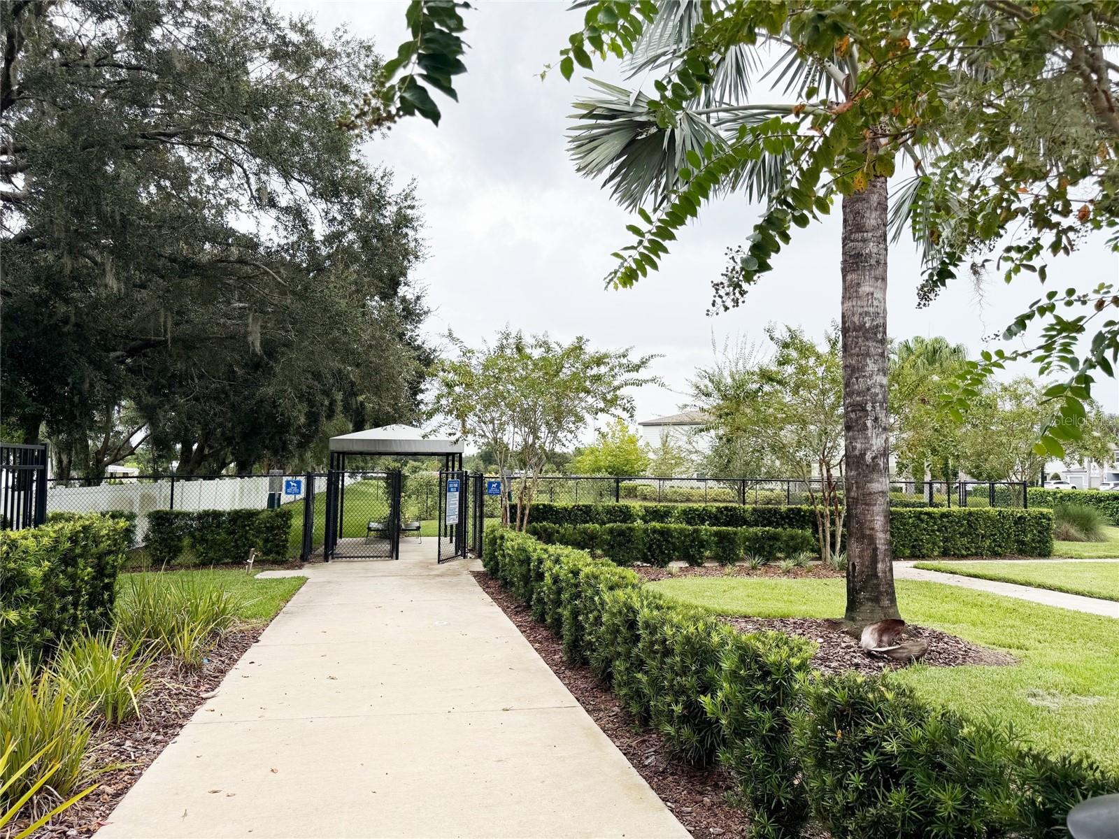 6279 Shiner St, Land O Lakes, FL 34638