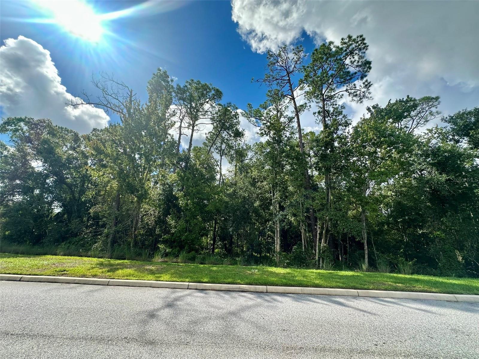 8511 Primrose Willow Pl, Odessa, FL 33556