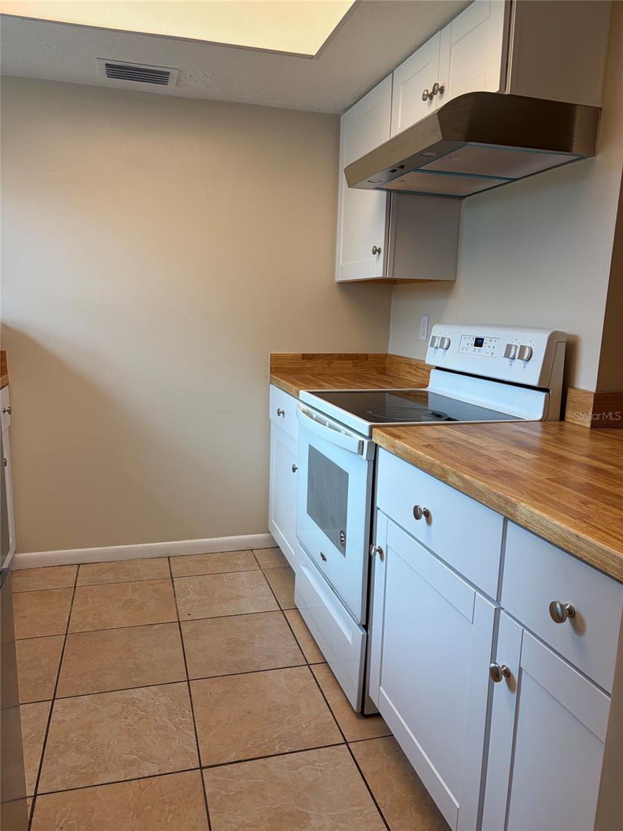 9523 Fieldview Cir #9523, Thonotosassa, FL 33592