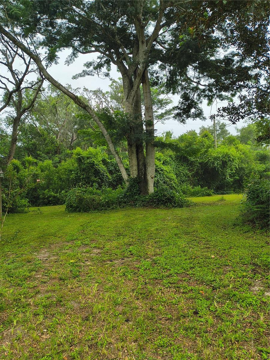 18250 Caufield Rd, Spring Hill, FL 34610