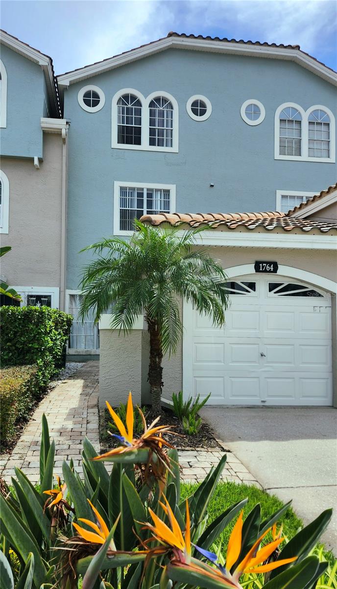 1764 Arabian Ln, Palm Harbor, FL 34685