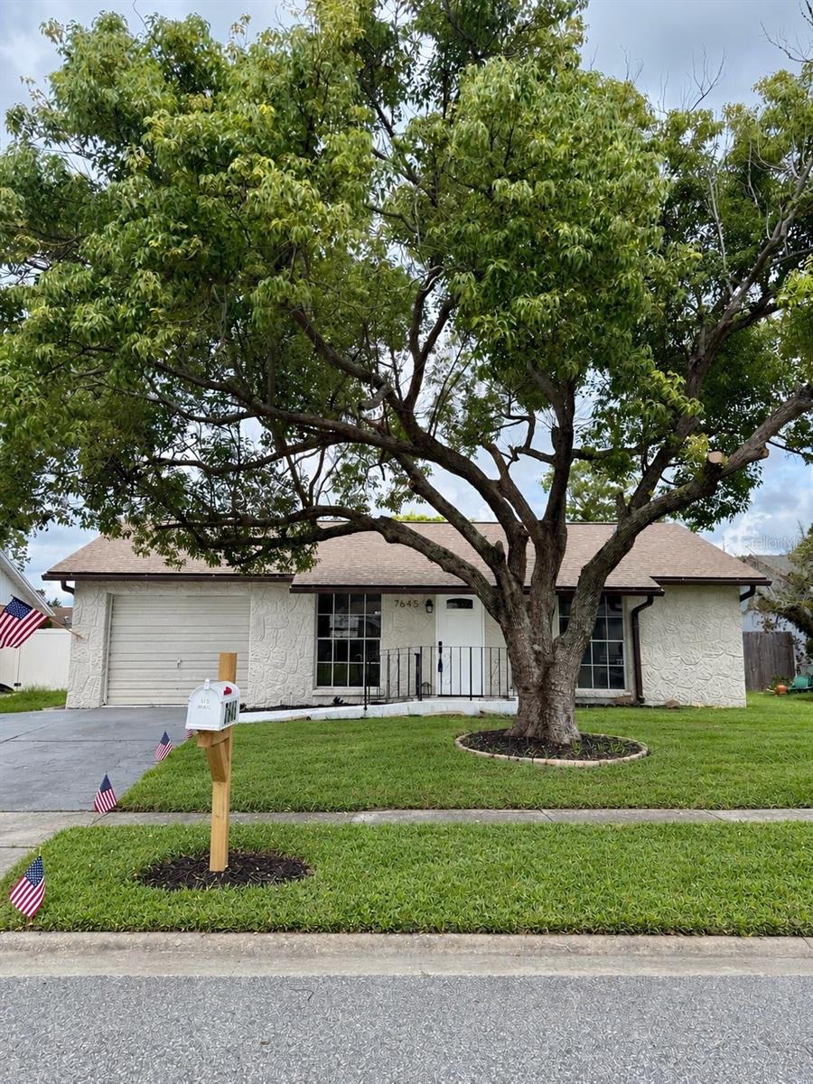 7645 Arlight Dr, New Port Richey, FL 34655