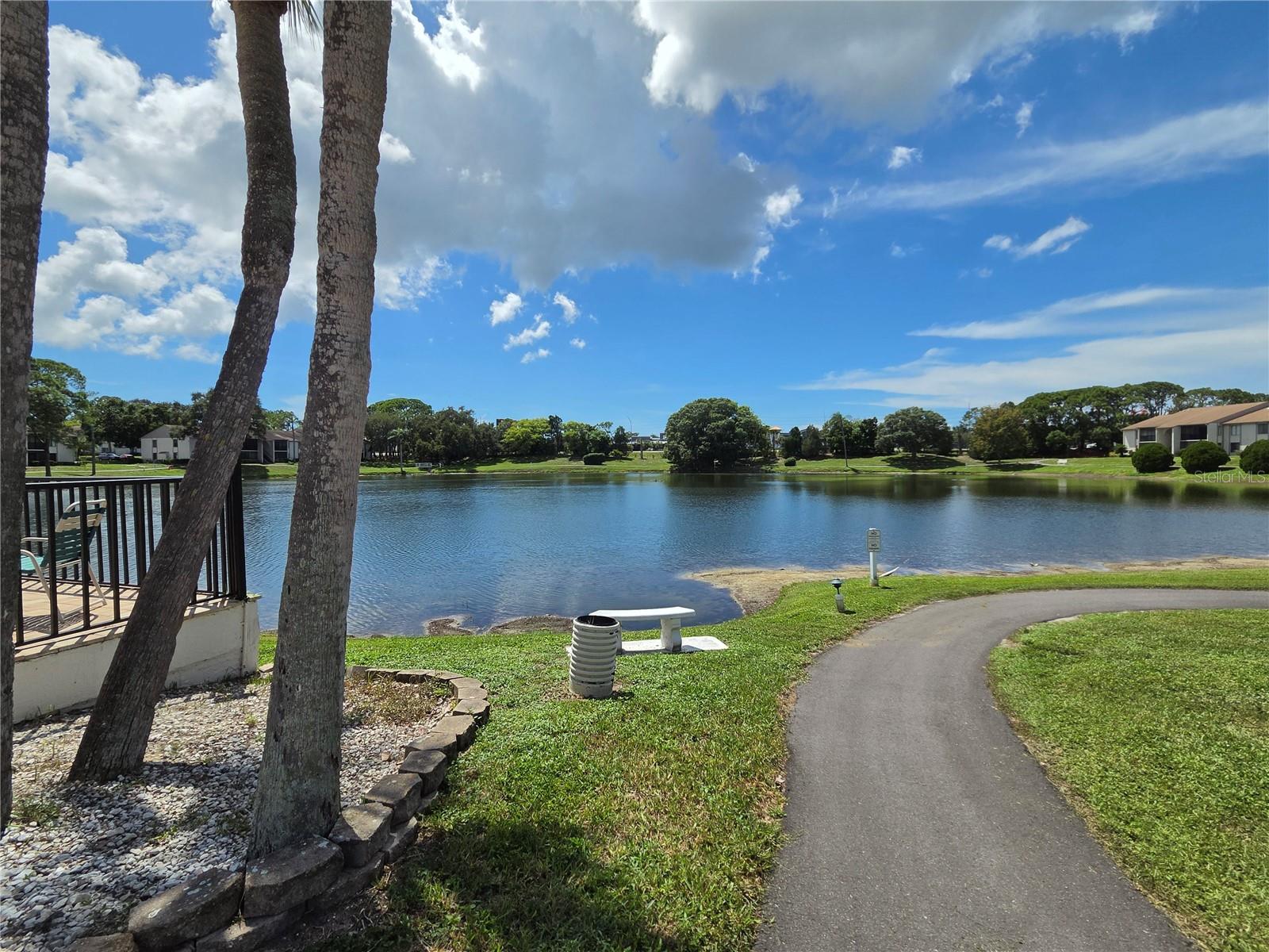 1700 Pine Ridge Way E #C1, Palm Harbor, FL 34684