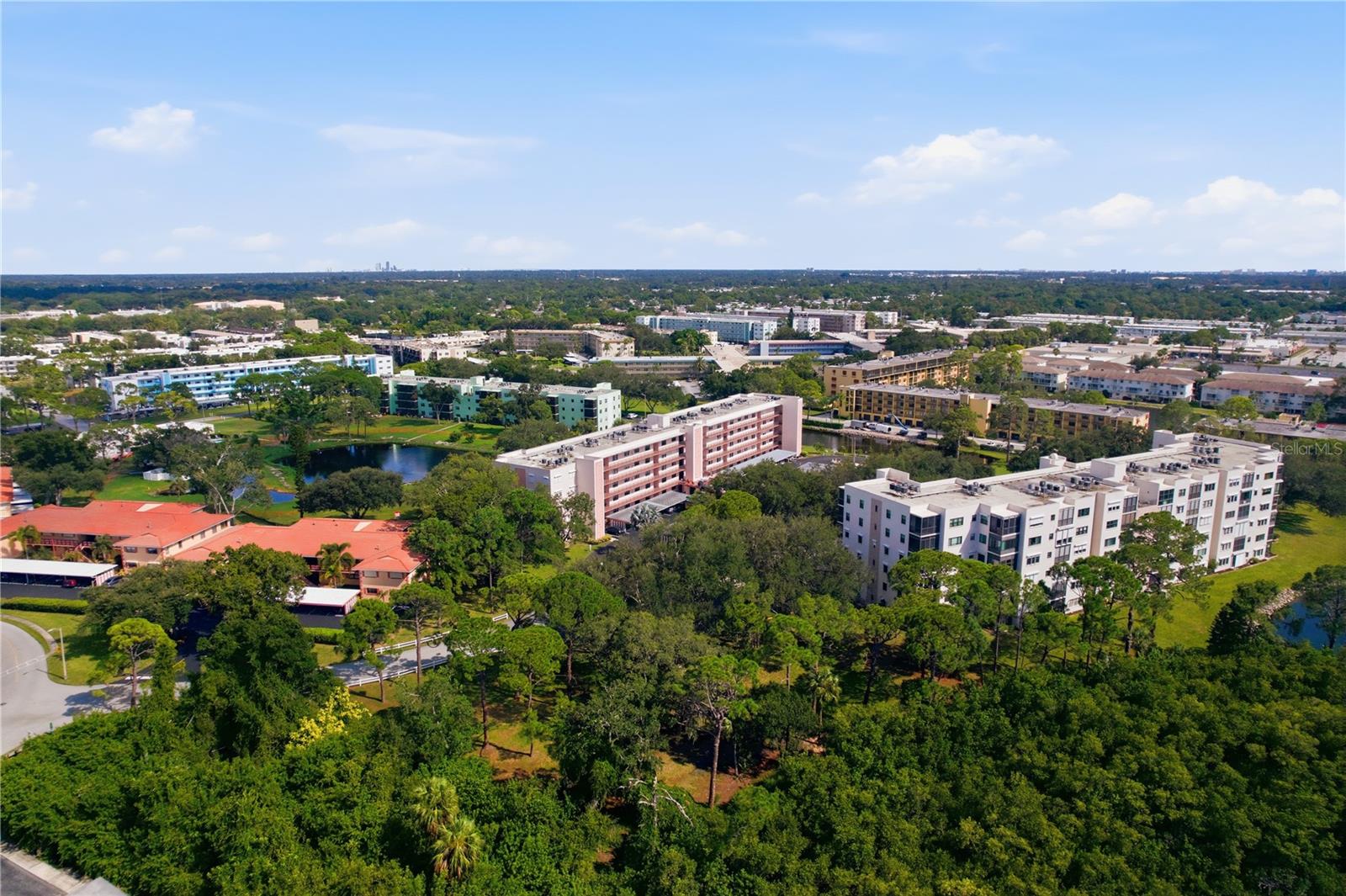 8174 Terrace Garden Dr N #507, St Petersburg, FL 33709