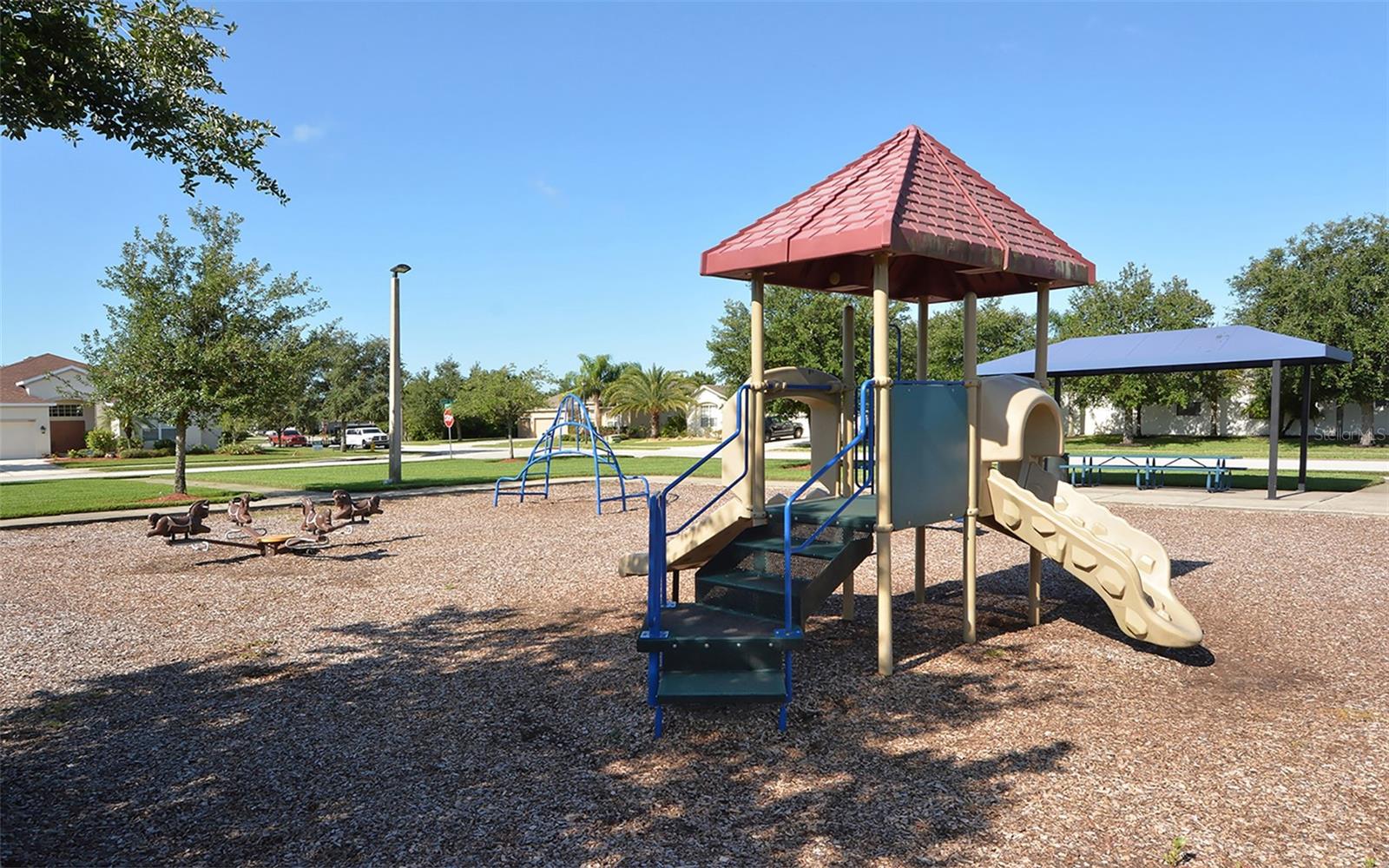 4005 Douglas Hill Pl, Parrish, FL 34219