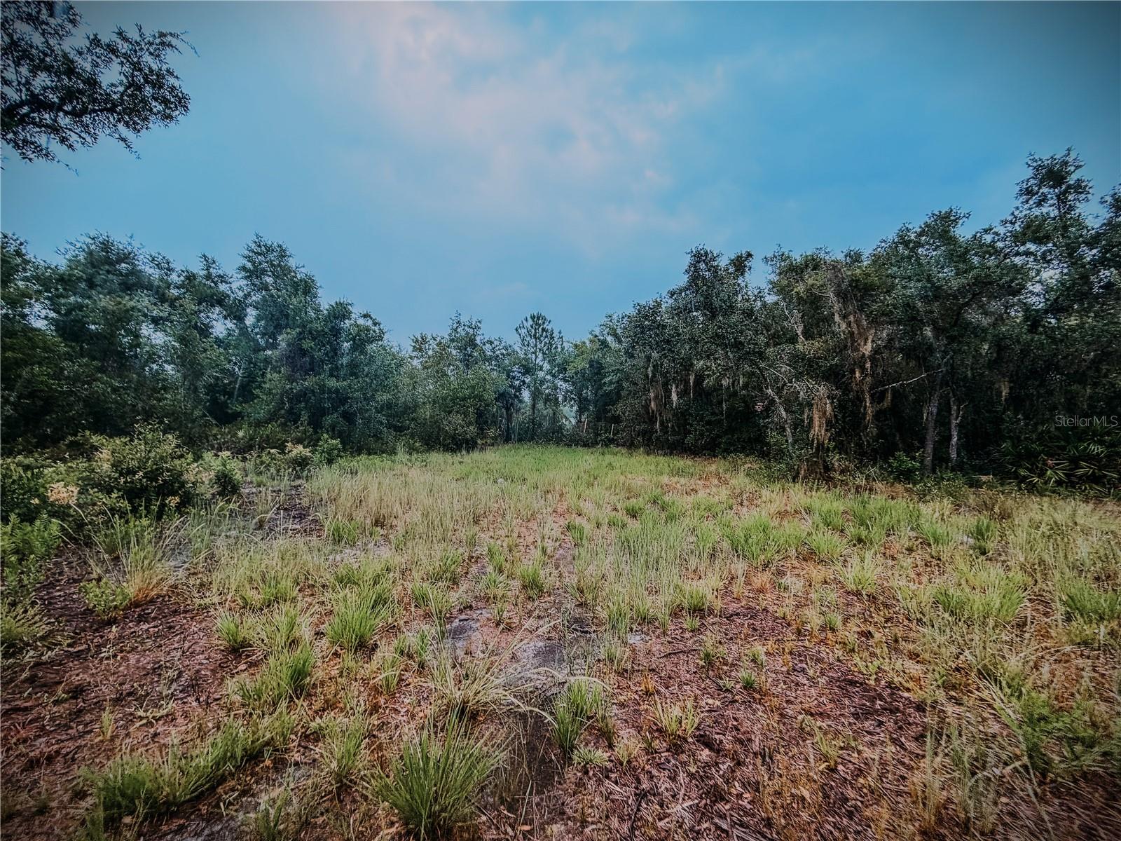 14020 Cypress Ln, Wimauma, FL 33598