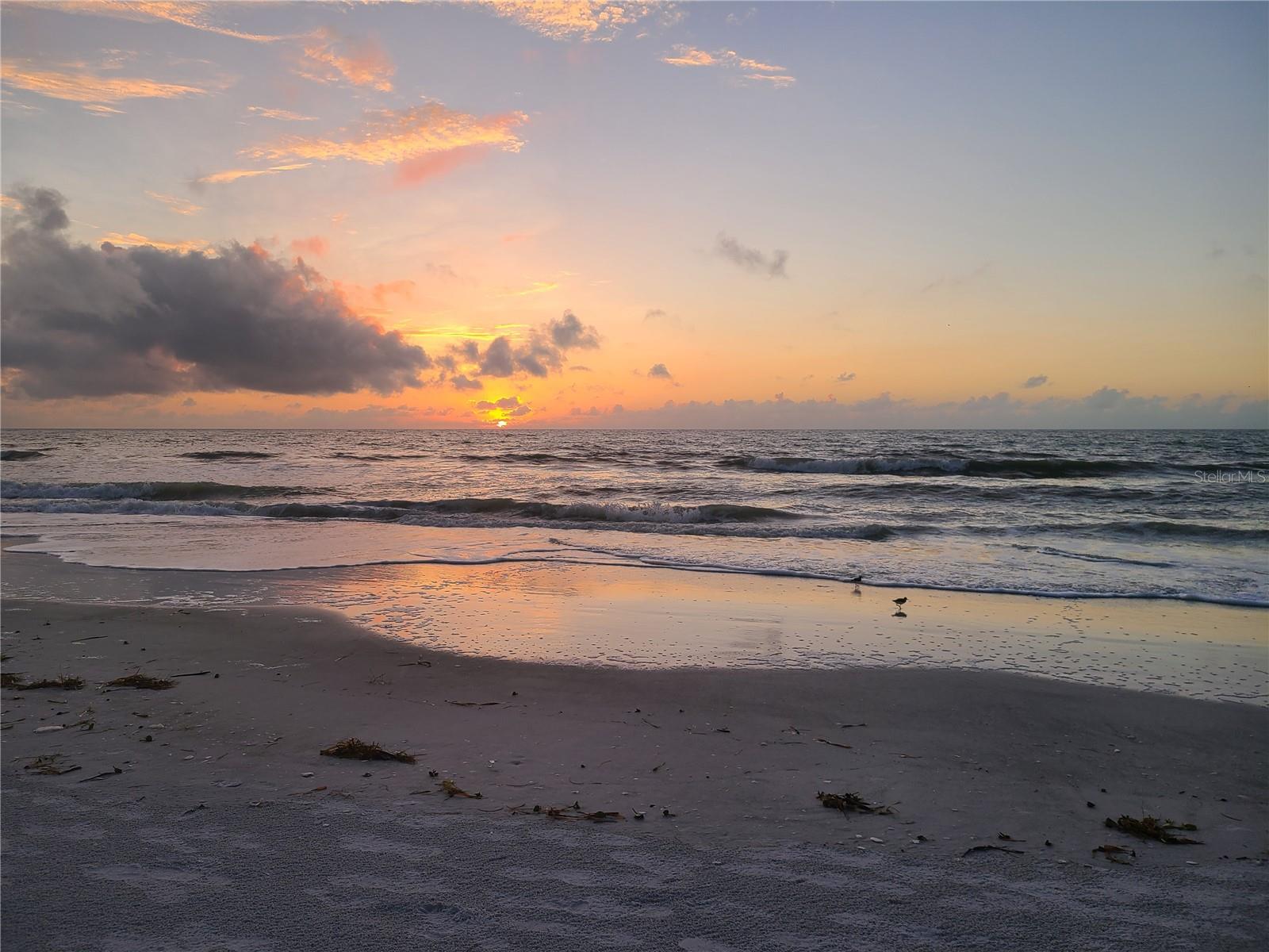 1460 Gulf Blvd #1002, Clearwater, FL 33767