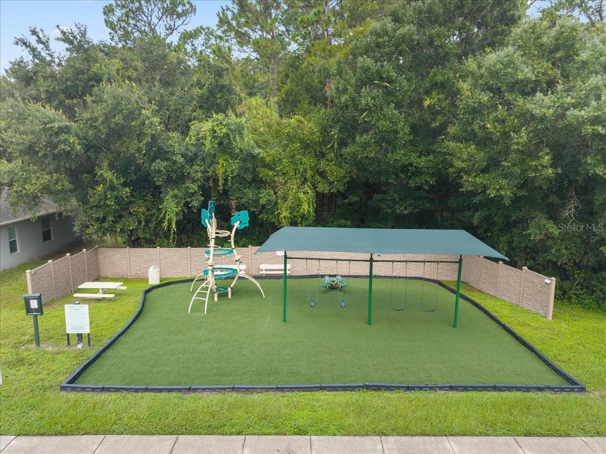 3336 Bellericay Ln, Land O Lakes, FL 34638