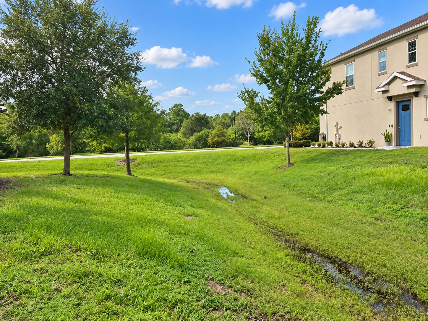 6843 Citrus Creek Ln, Tampa, FL 33625