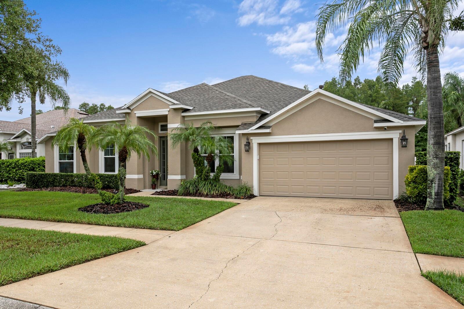 3128 Ashmonte Dr, Land O Lakes, FL 34638