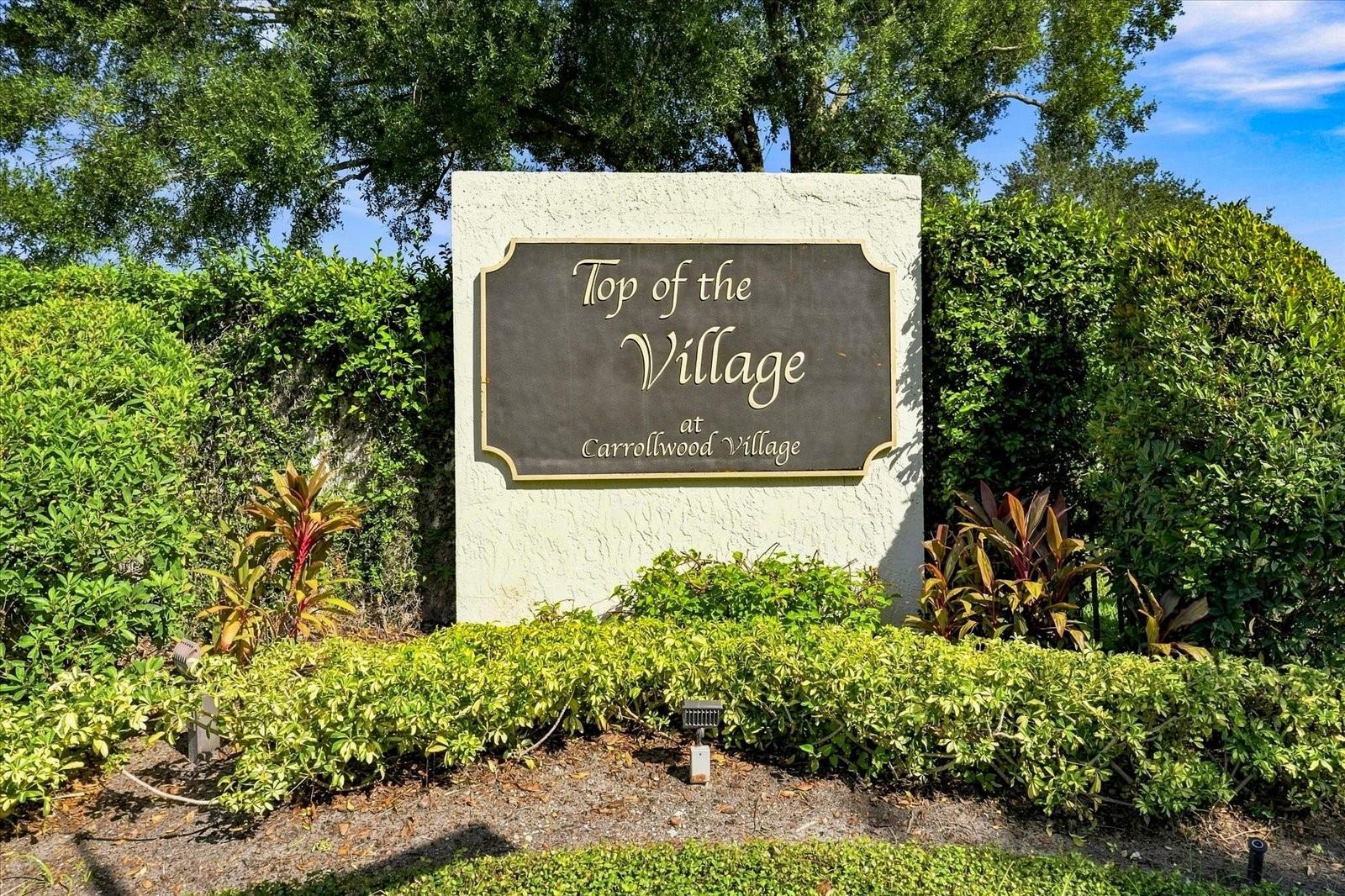 14626 Village Glen Cir, Tampa, FL 33618