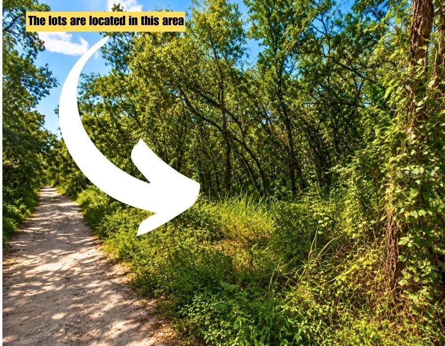 Poco Loop, New Port Richey, FL 34654