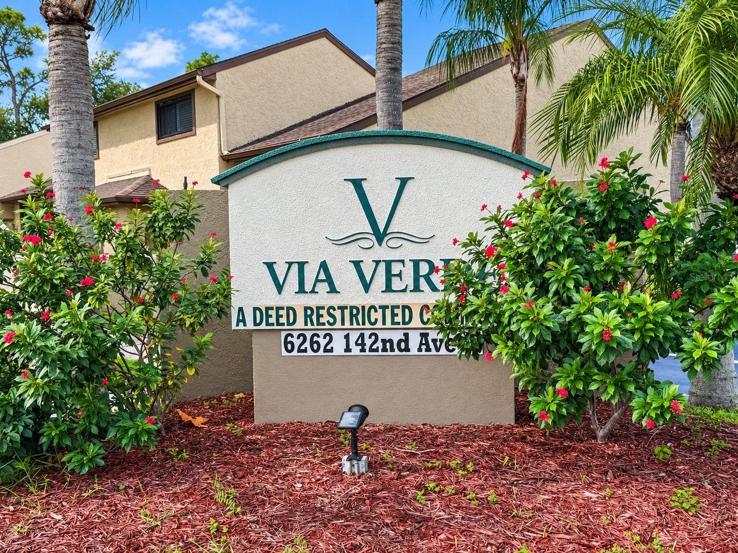 6262 142nd Ave N #709, Clearwater, FL 33760