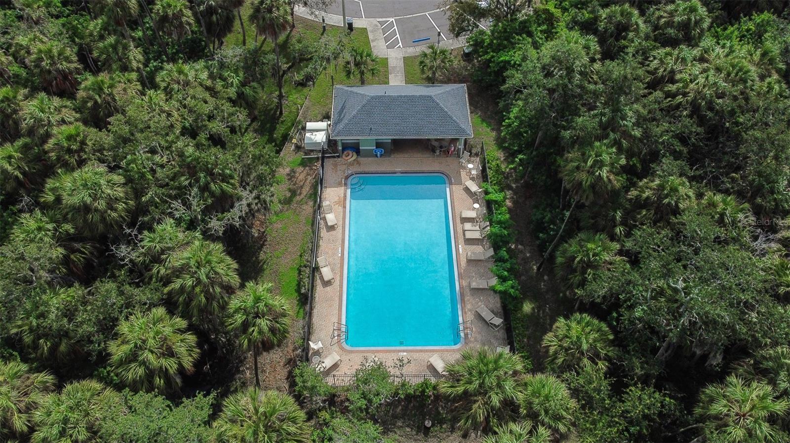 613 Wheaton Trent Pl, Tampa, FL 33619