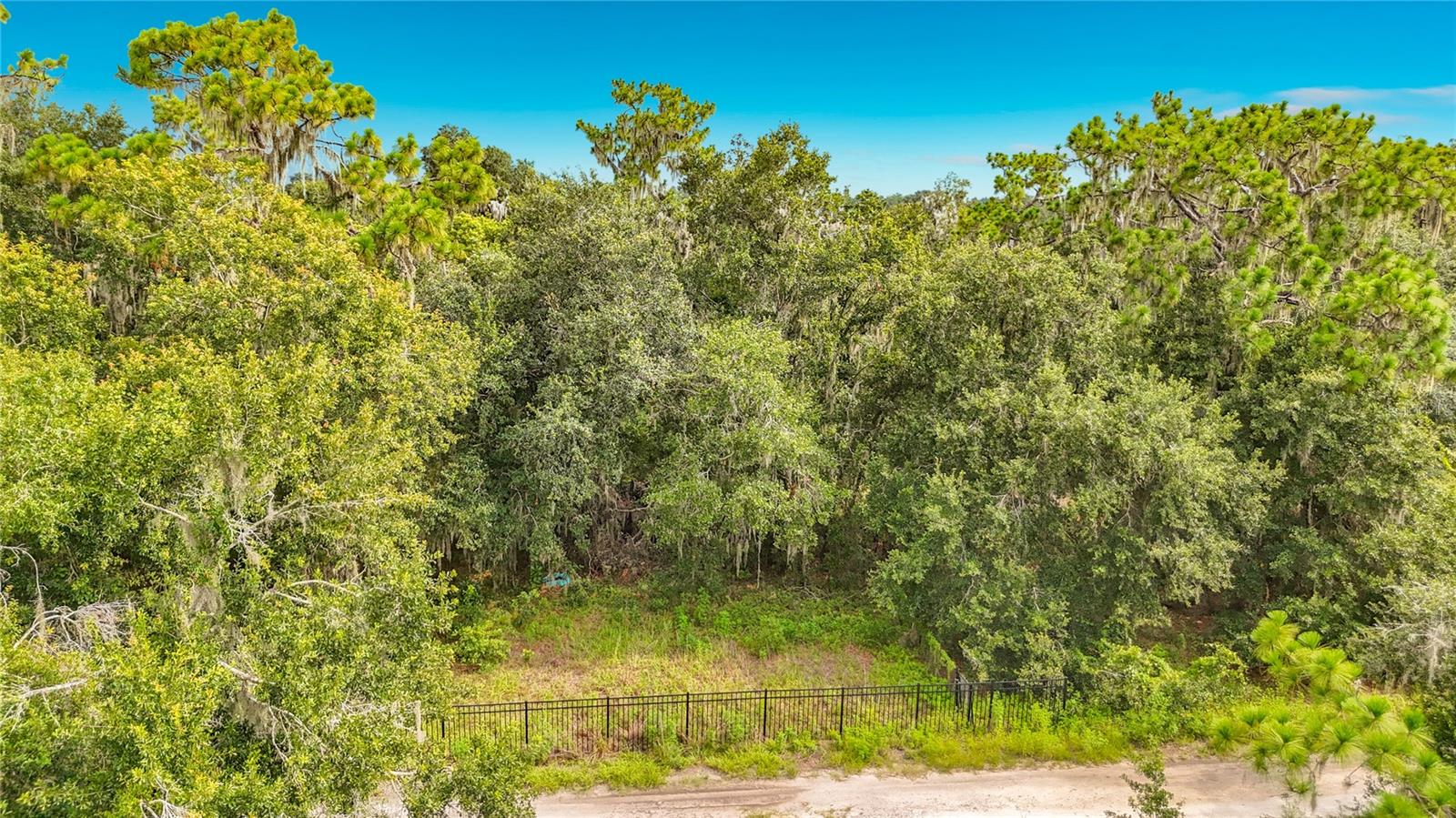 10623 Lithia Estates Dr, Lithia, FL 33547