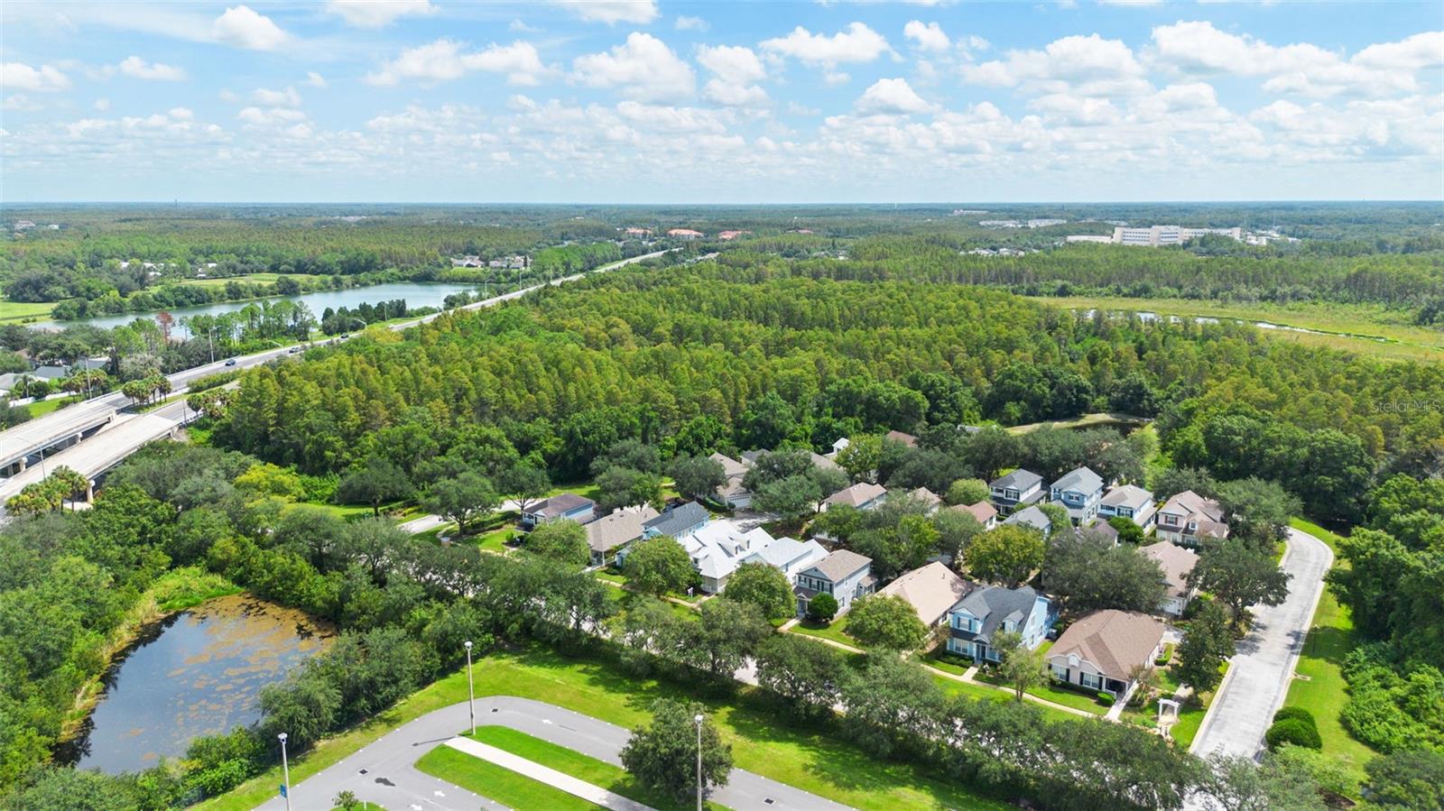17912 Havenview Ln, Lutz, FL 33558