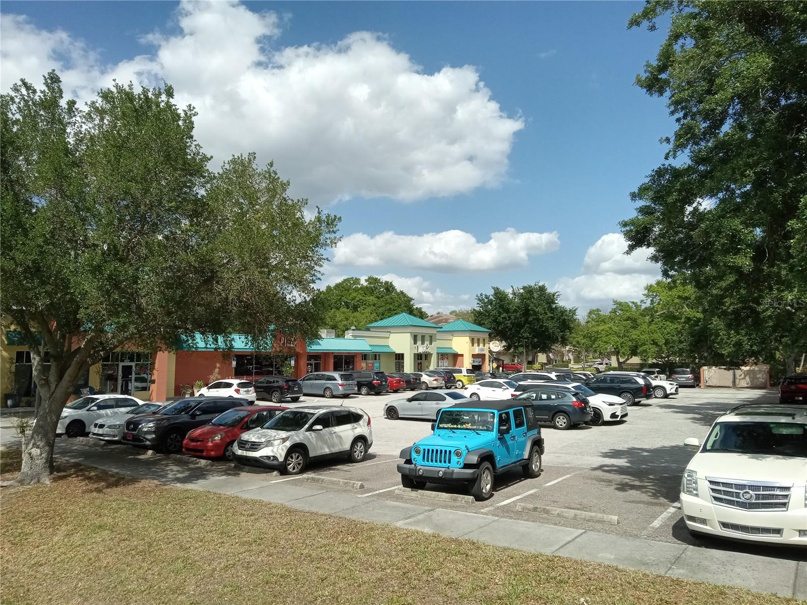 1600 Achieva Way, Dunedin, FL 34698