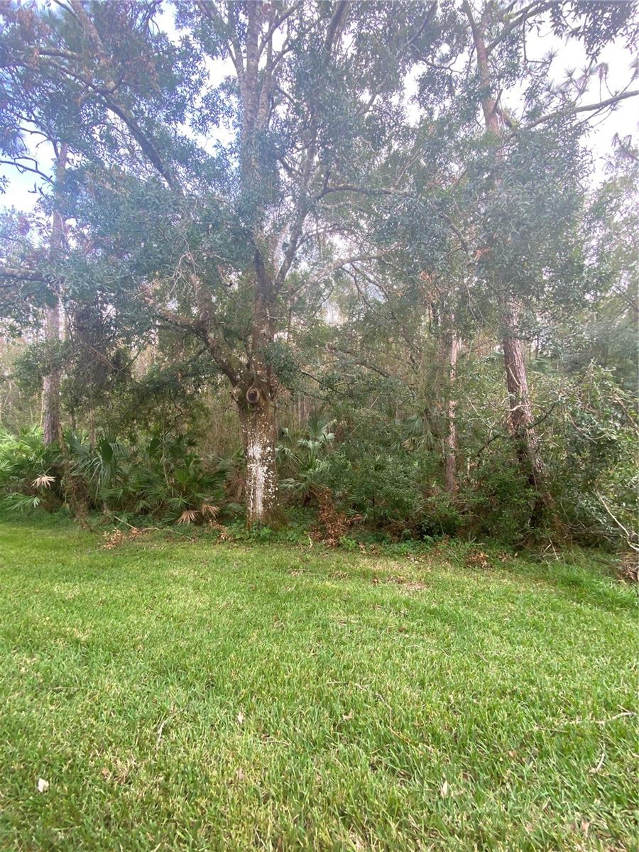 8547 Hunters Key Cir, Tampa, FL 33647