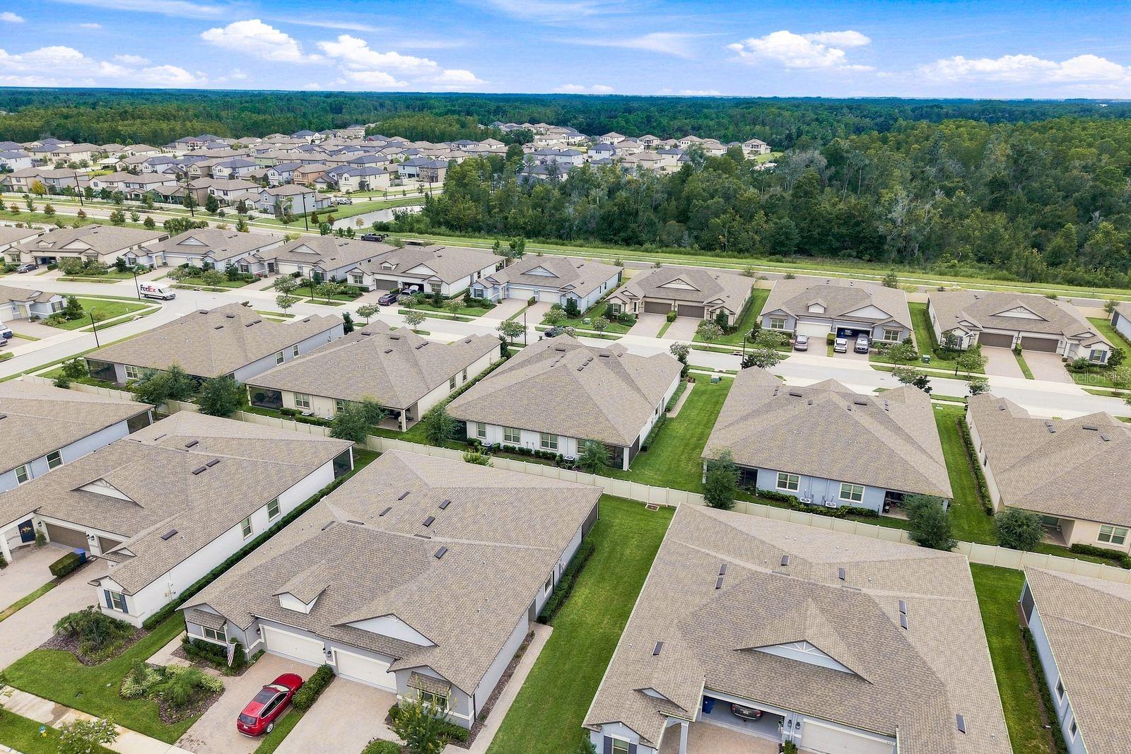 9926 Campanula Ct, Land O Lakes, FL 34637