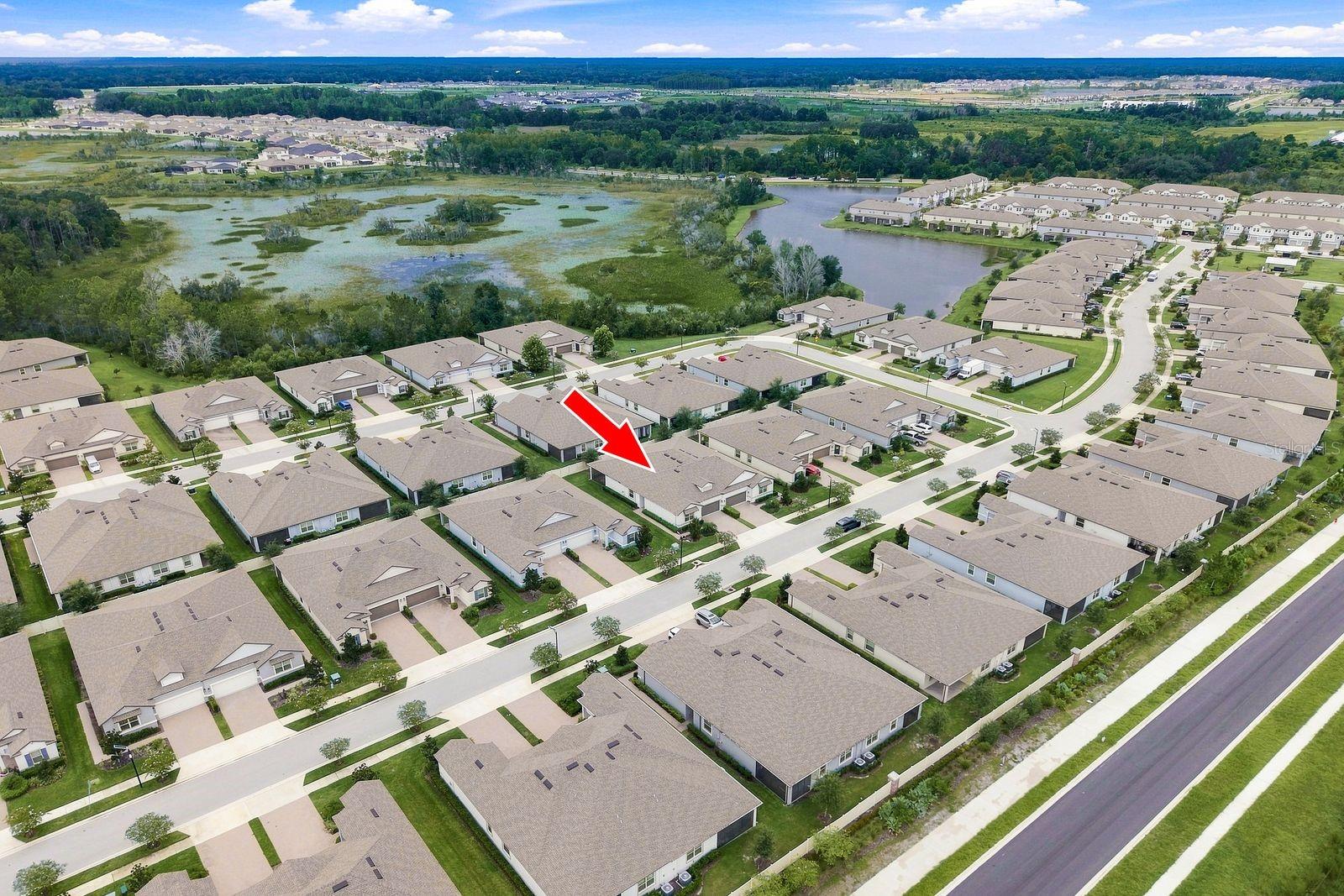 9926 Campanula Ct, Land O Lakes, FL 34637
