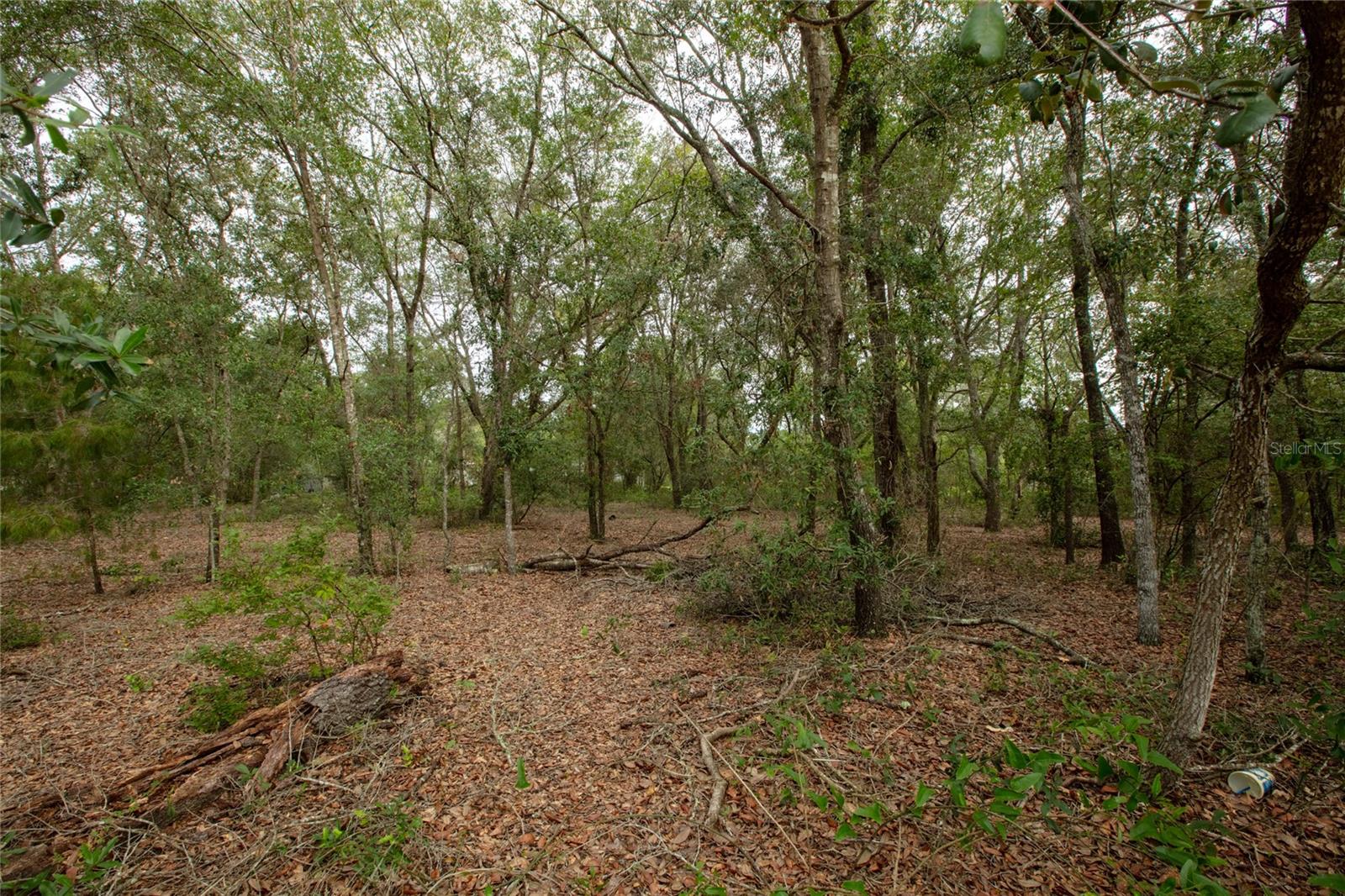 6400 Amherst Ave, Keystone Heights, FL 32656