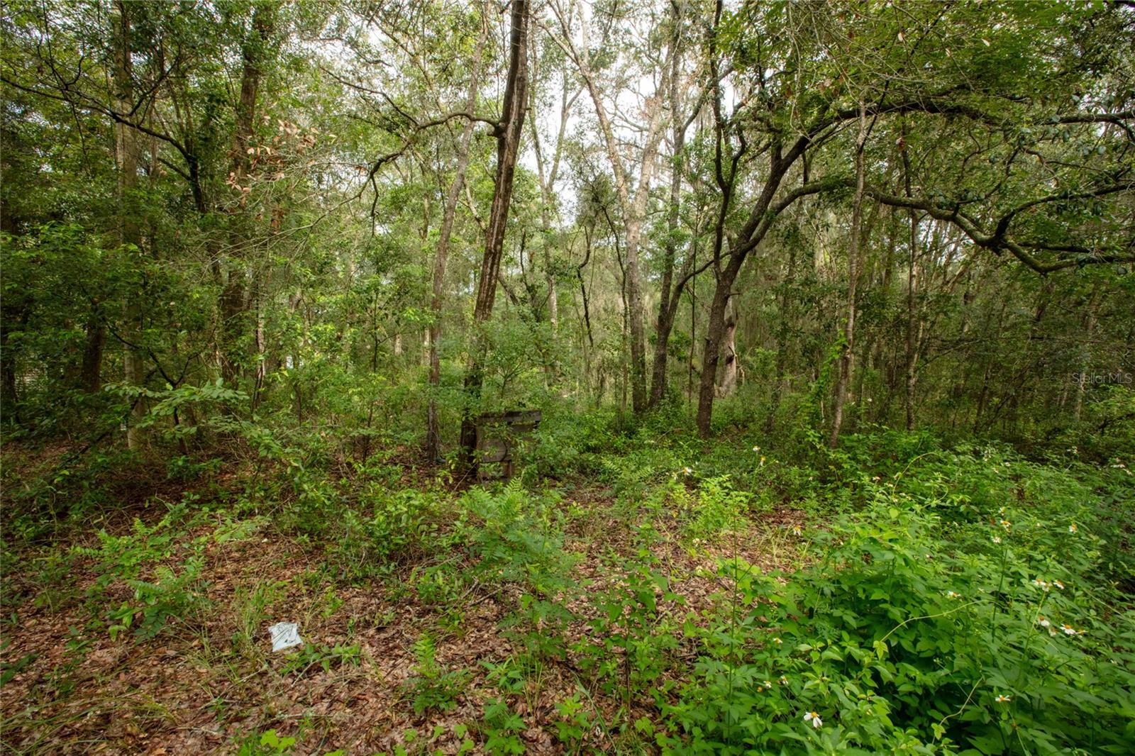 7214 Notre Dame St, Keystone Heights, FL 32656
