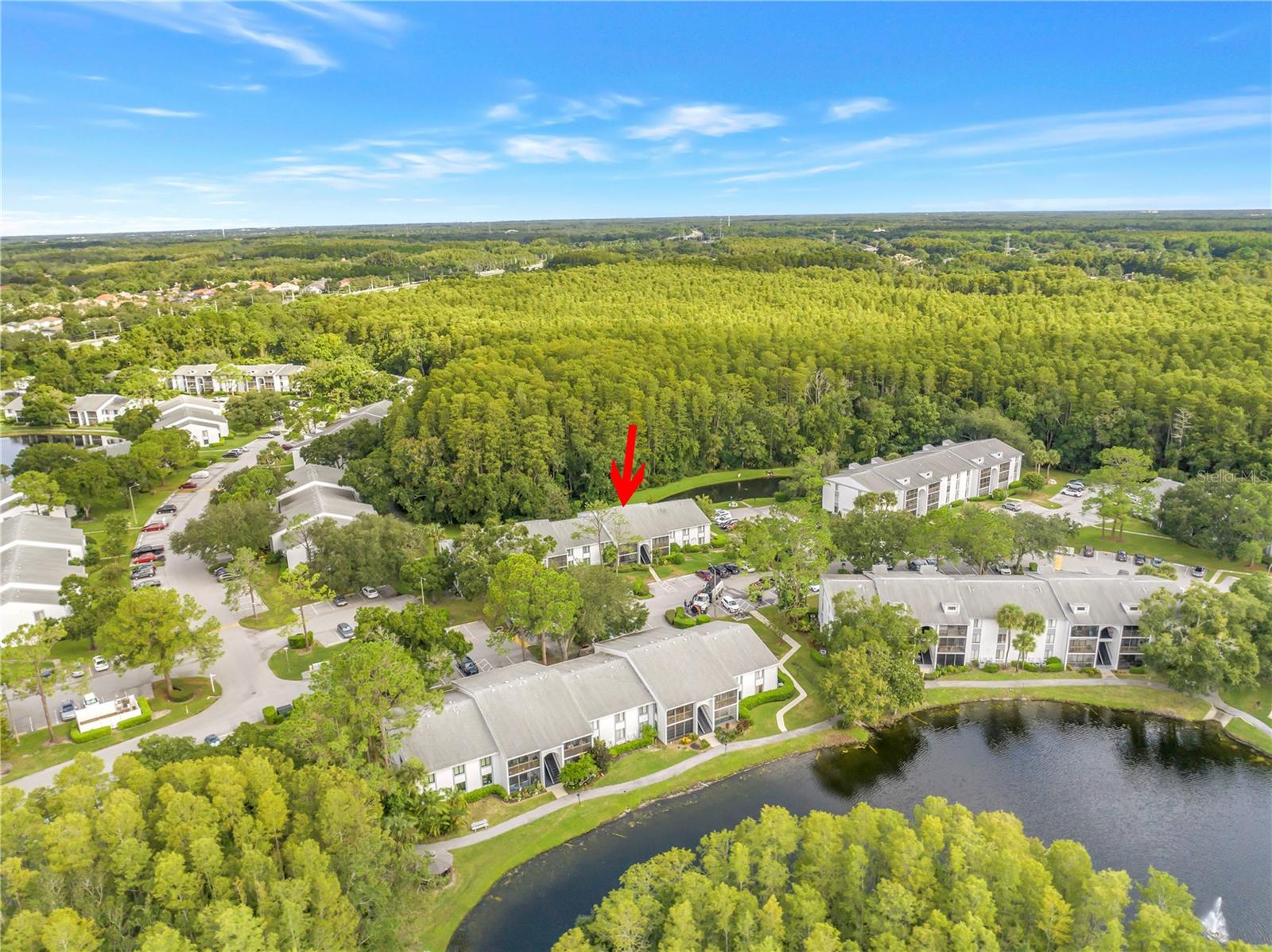 1290 Pine Ridge Cir E #G2, Tarpon Springs, FL 34688