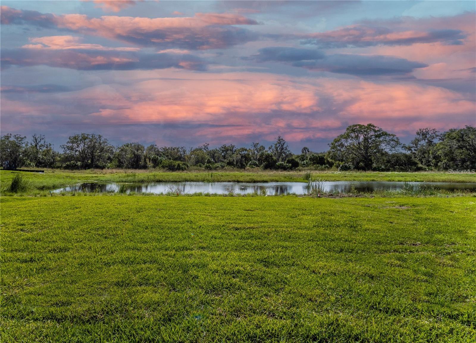 10269 Shady Preserve Dr, Riverview, FL 33578