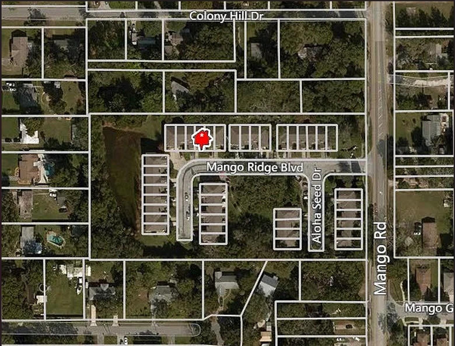 11636 Mango Ridge Blvd, Seffner, FL 33584