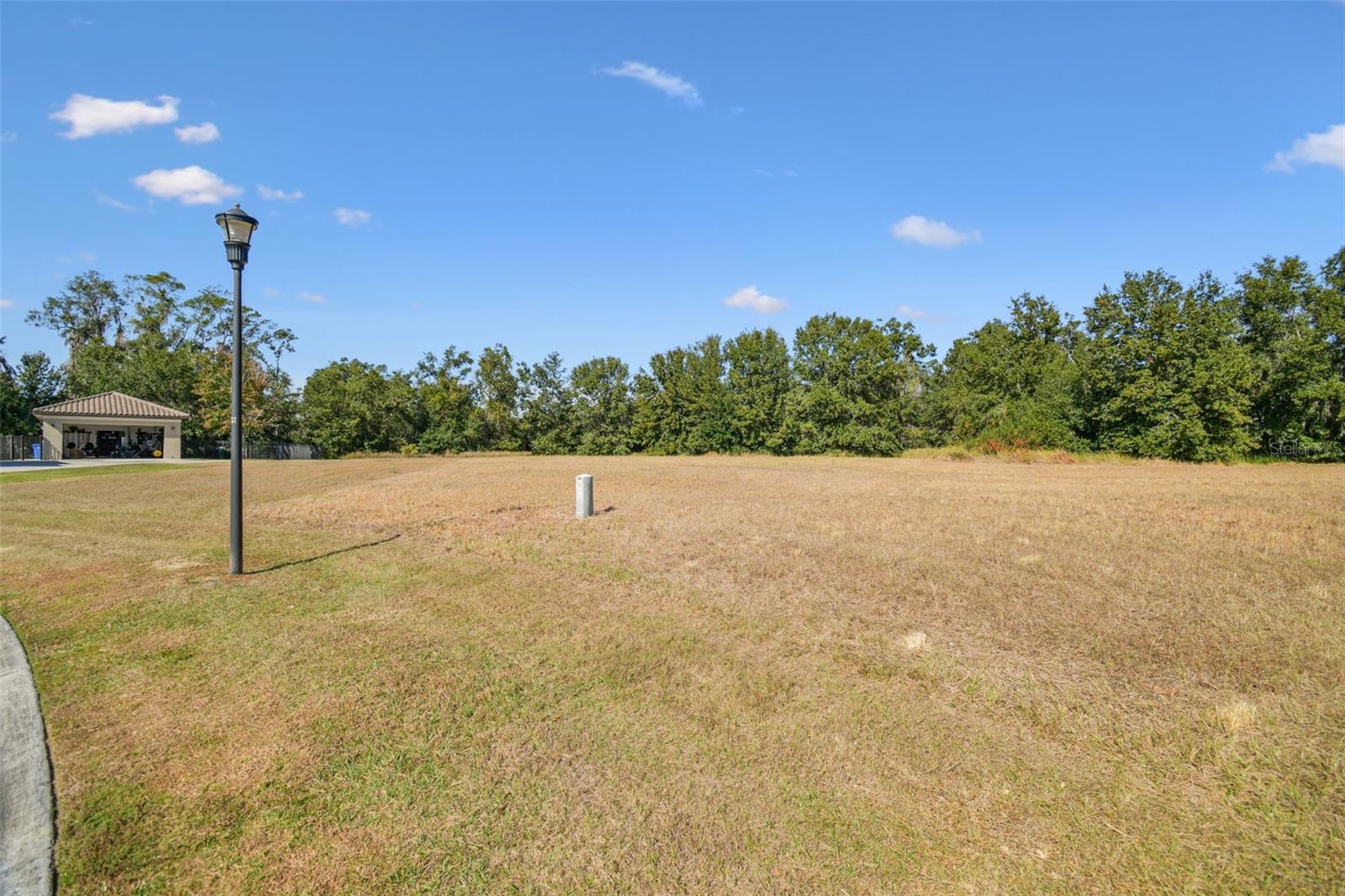 420 Hawk Talon Dr, Lithia, FL 33547