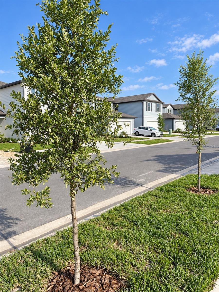 9469 Rally Spring Loop, Wesley Chapel, FL 33545