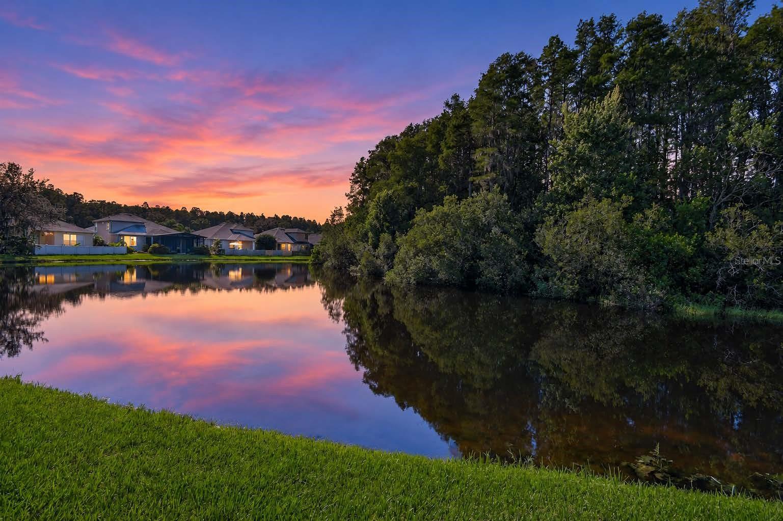 3240 Downan Point Dr, Land O Lakes, FL 34638