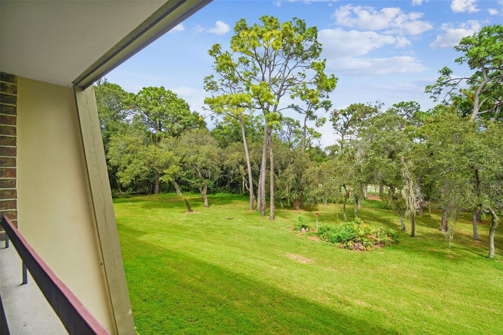 36750 Us Highway 19 #24211, Palm Harbor, FL 34684