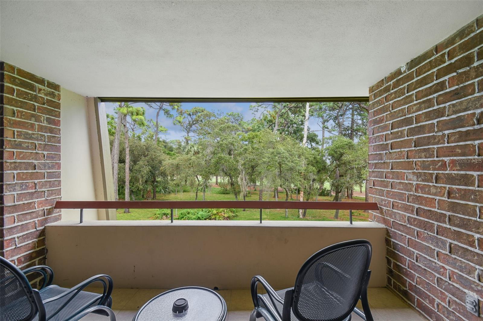 36750 Us Highway 19 #24211, Palm Harbor, FL 34684