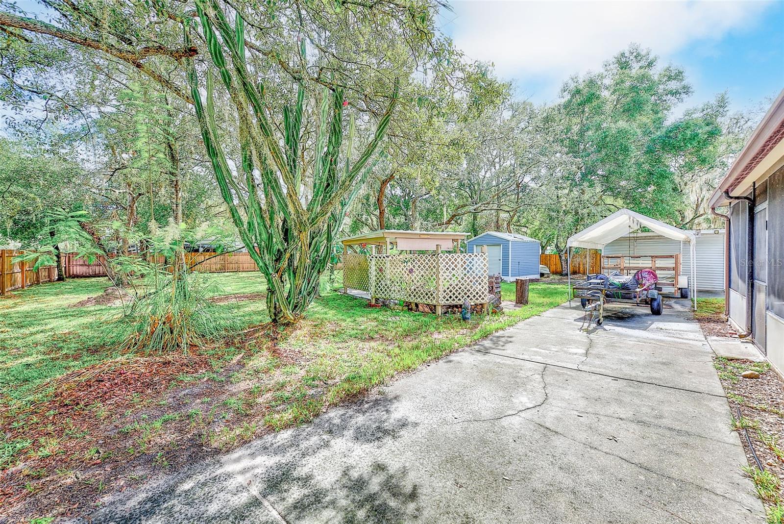 11704 Doaks St, New Port Richey, FL 34654