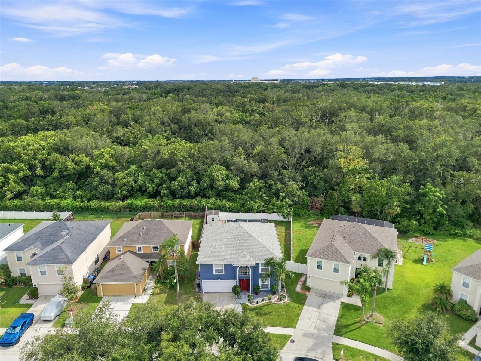 12954 Tribute Dr, Riverview, FL 33578