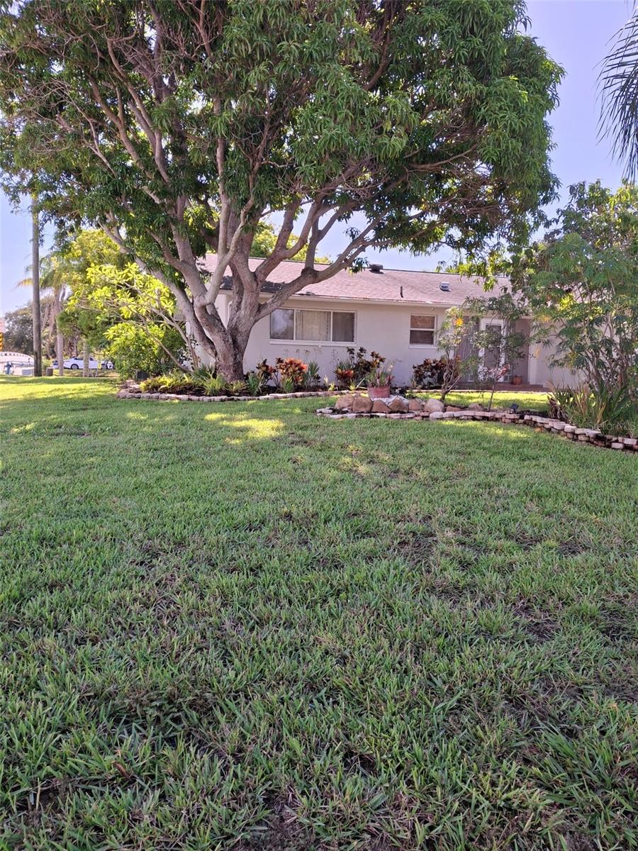 344 Crosswinds Dr, Palm Harbor, FL 34683