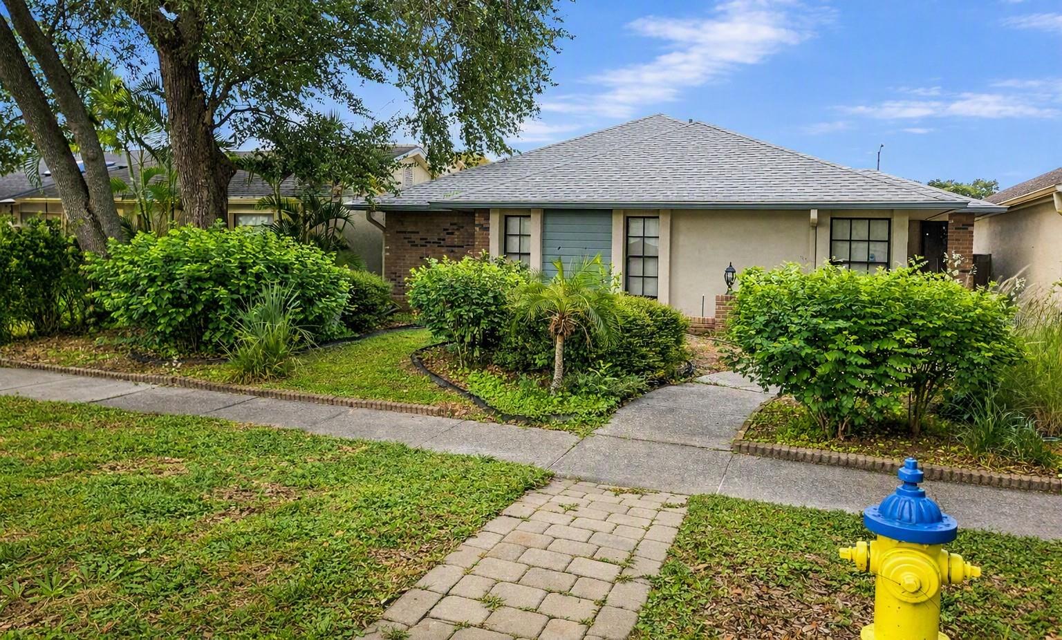 8008 La Serena Dr, Tampa, FL 33614