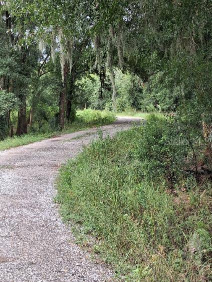 5302 Cougar Trail Ln, Plant City, FL 33565