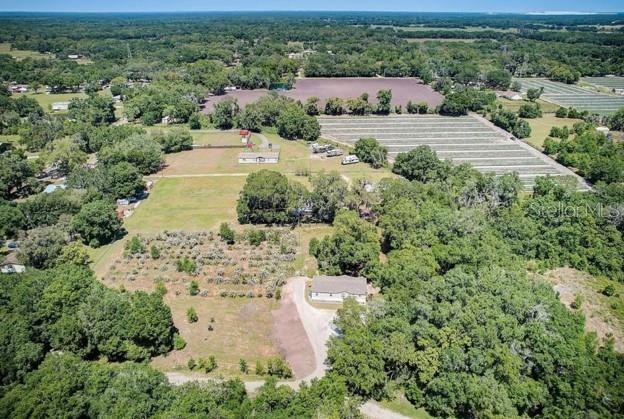 5302 Cougar Trail Ln, Plant City, FL 33565