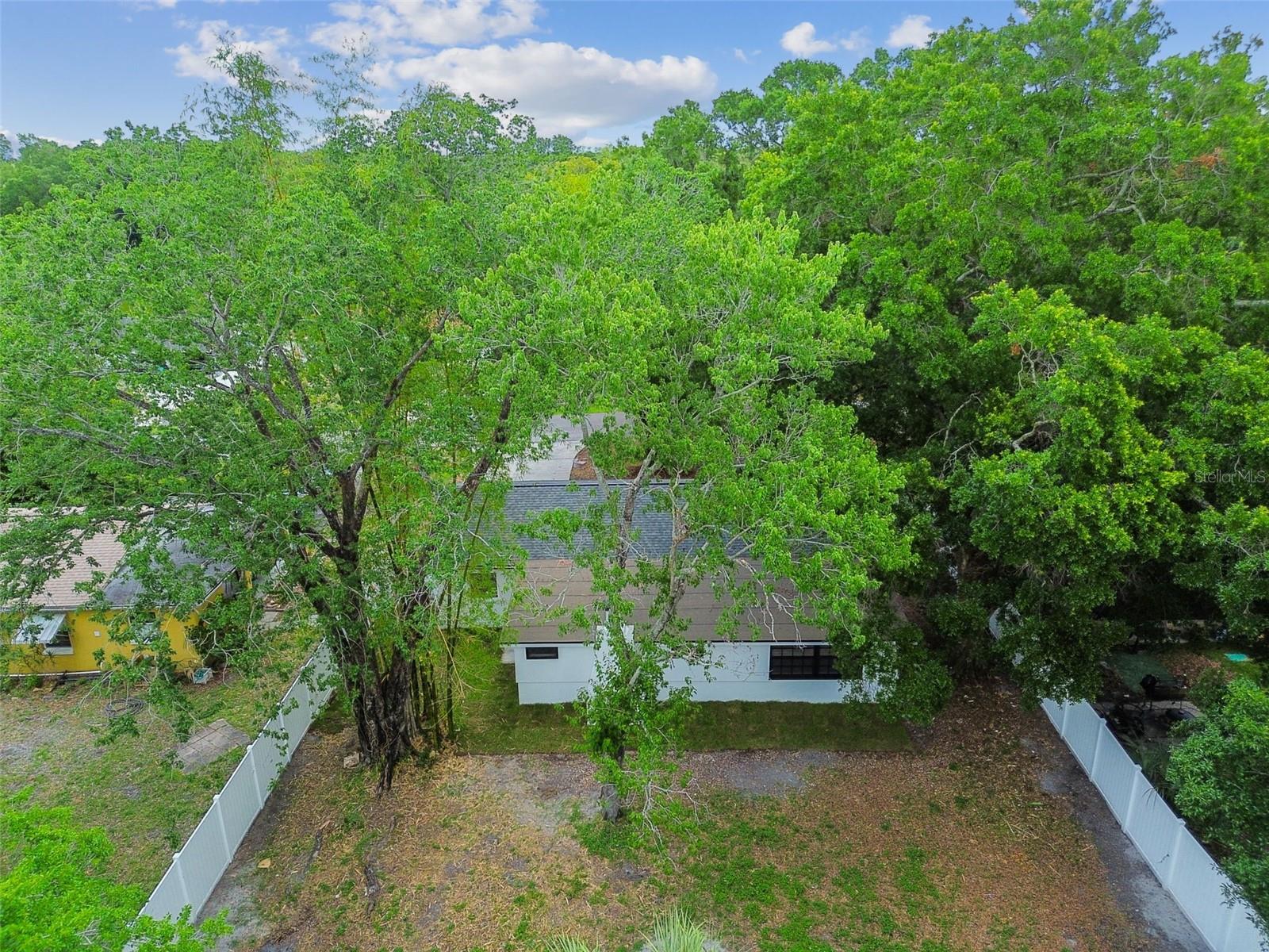 4910 N Darby Ave, Tampa, FL 33603