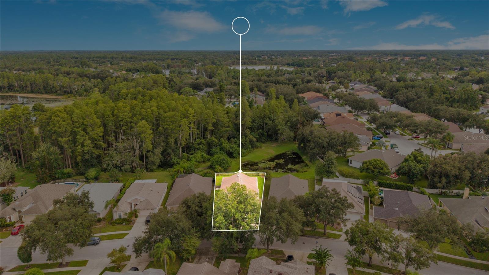 7752 Blue Spring Dr, Land O Lakes, FL 34637