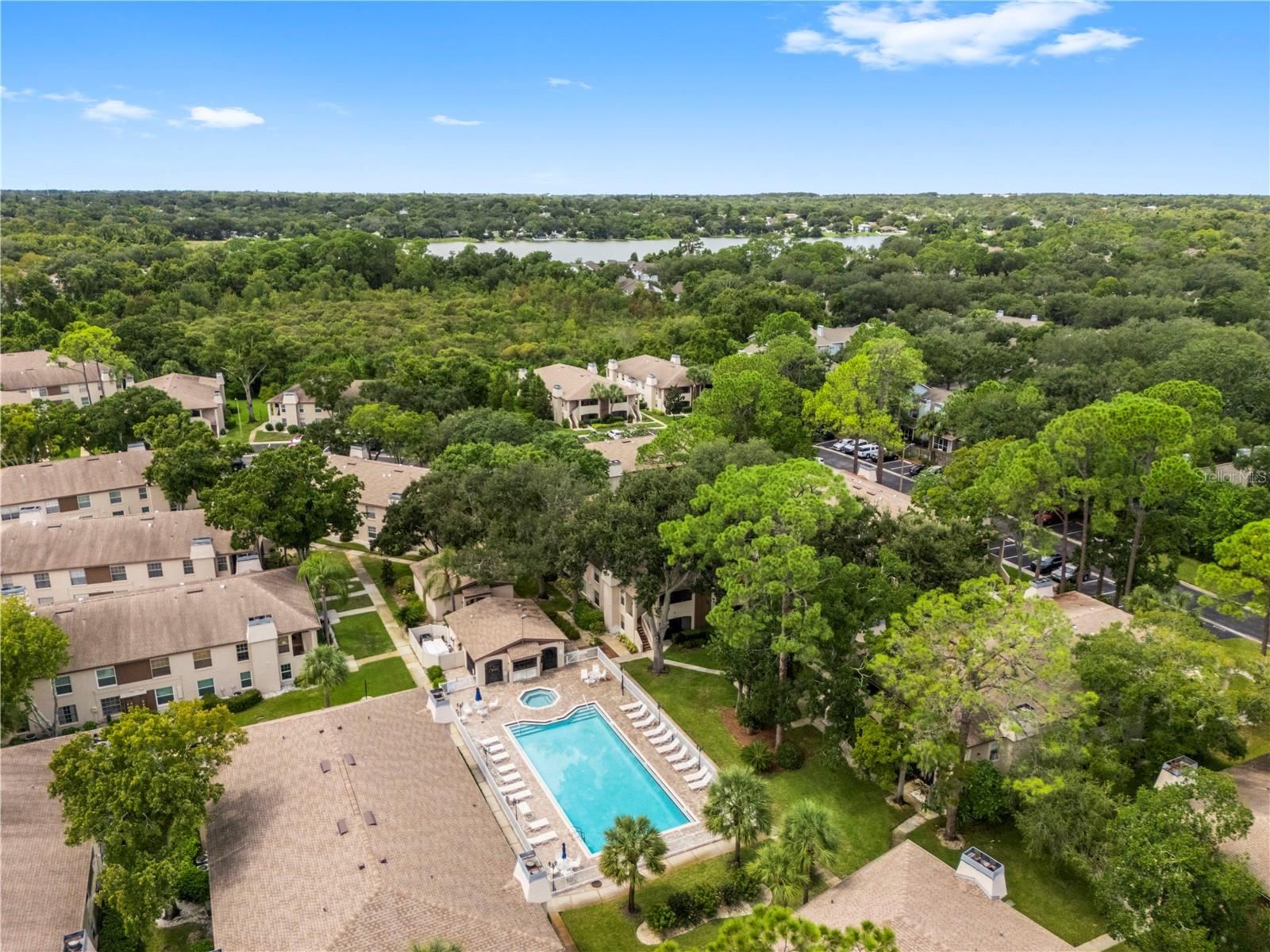 3016 Bonaventure Cir #104, Palm Harbor, FL 34684