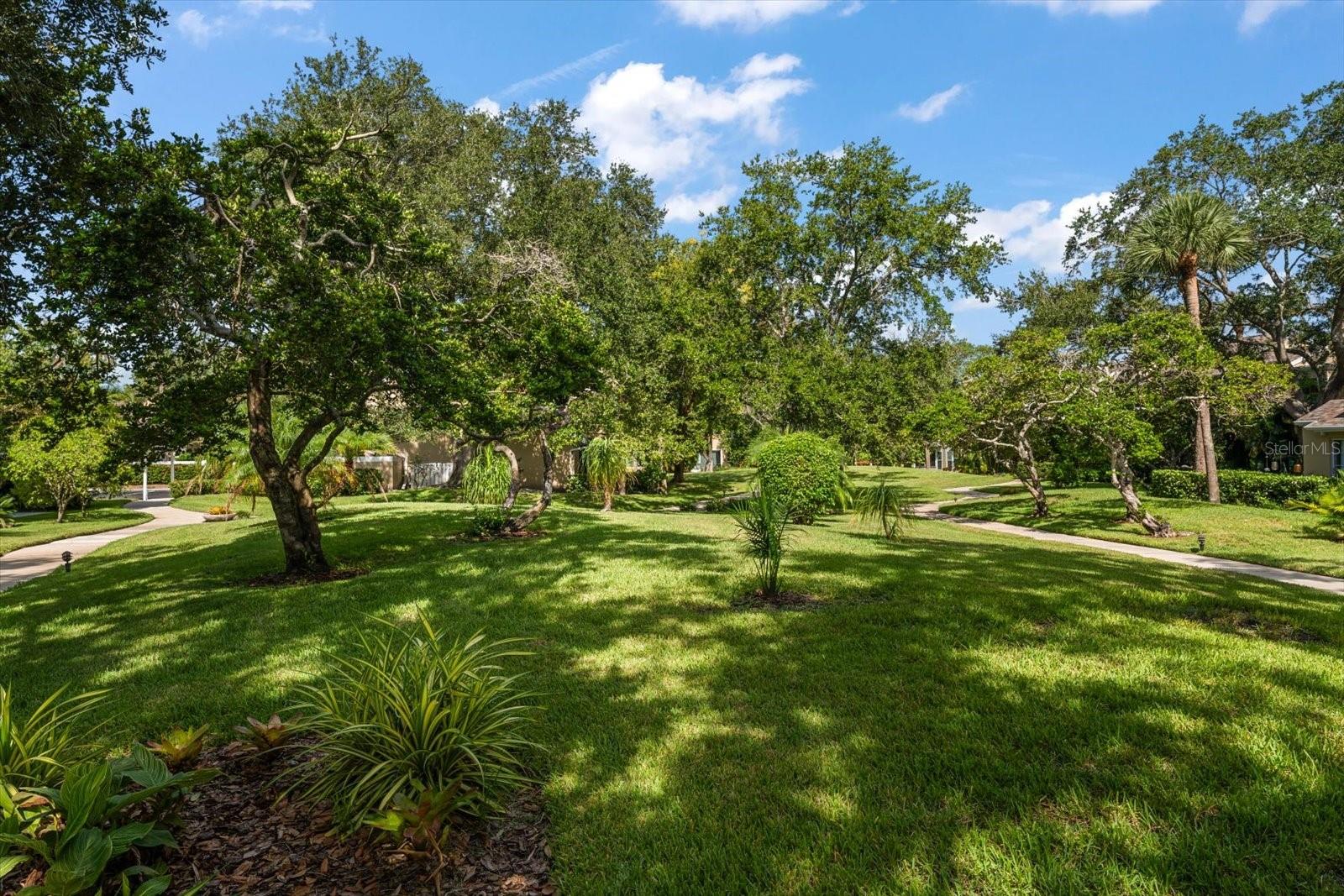 10811 Indian Hills Ct #42, Seminole, FL 33777