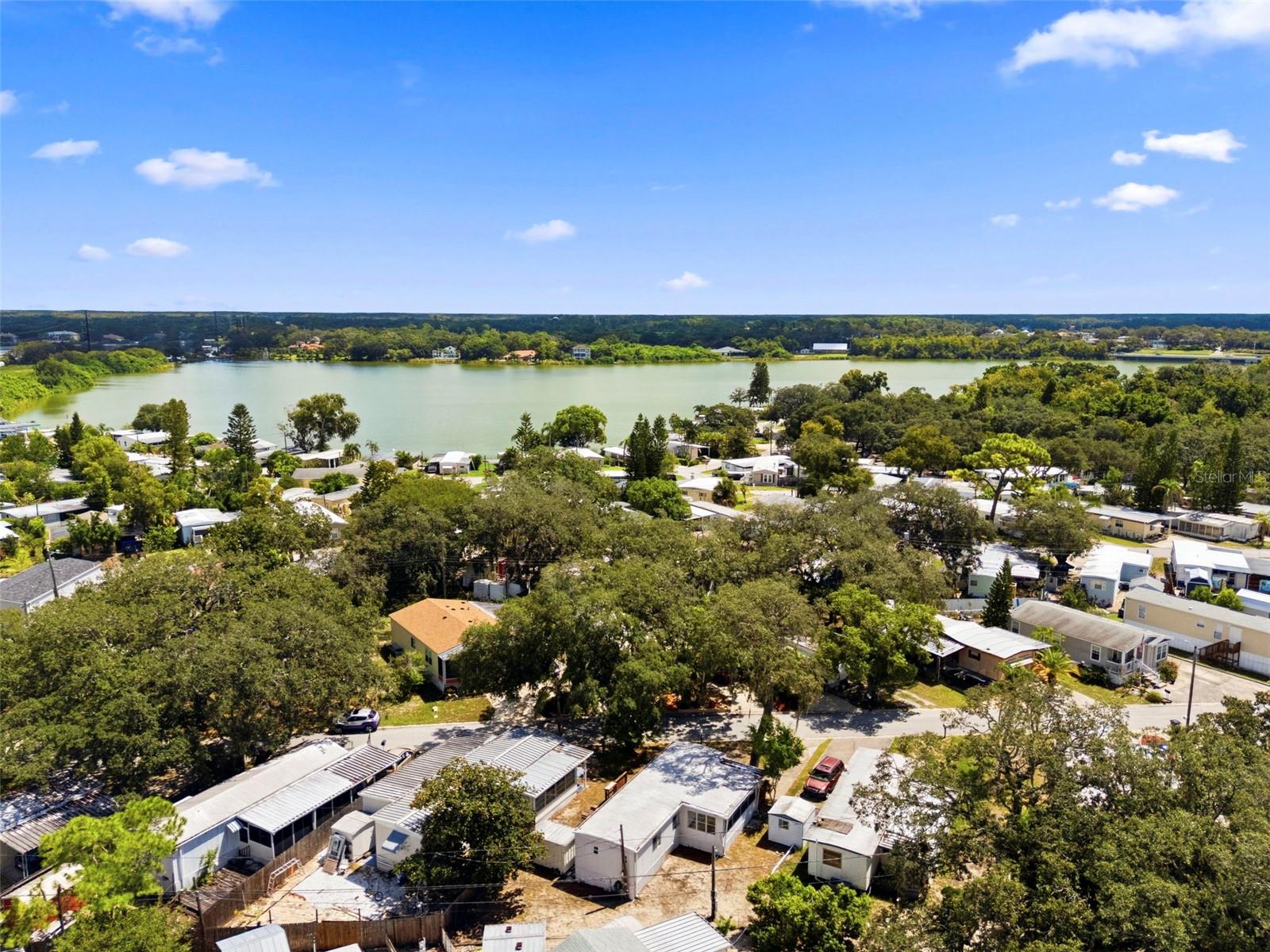 815 Elkan Dr, Tarpon Springs, FL 34689