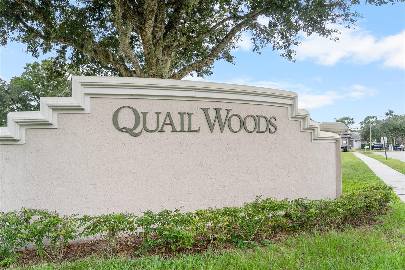 7040 Frascati Loop, Wesley Chapel, FL 33544
