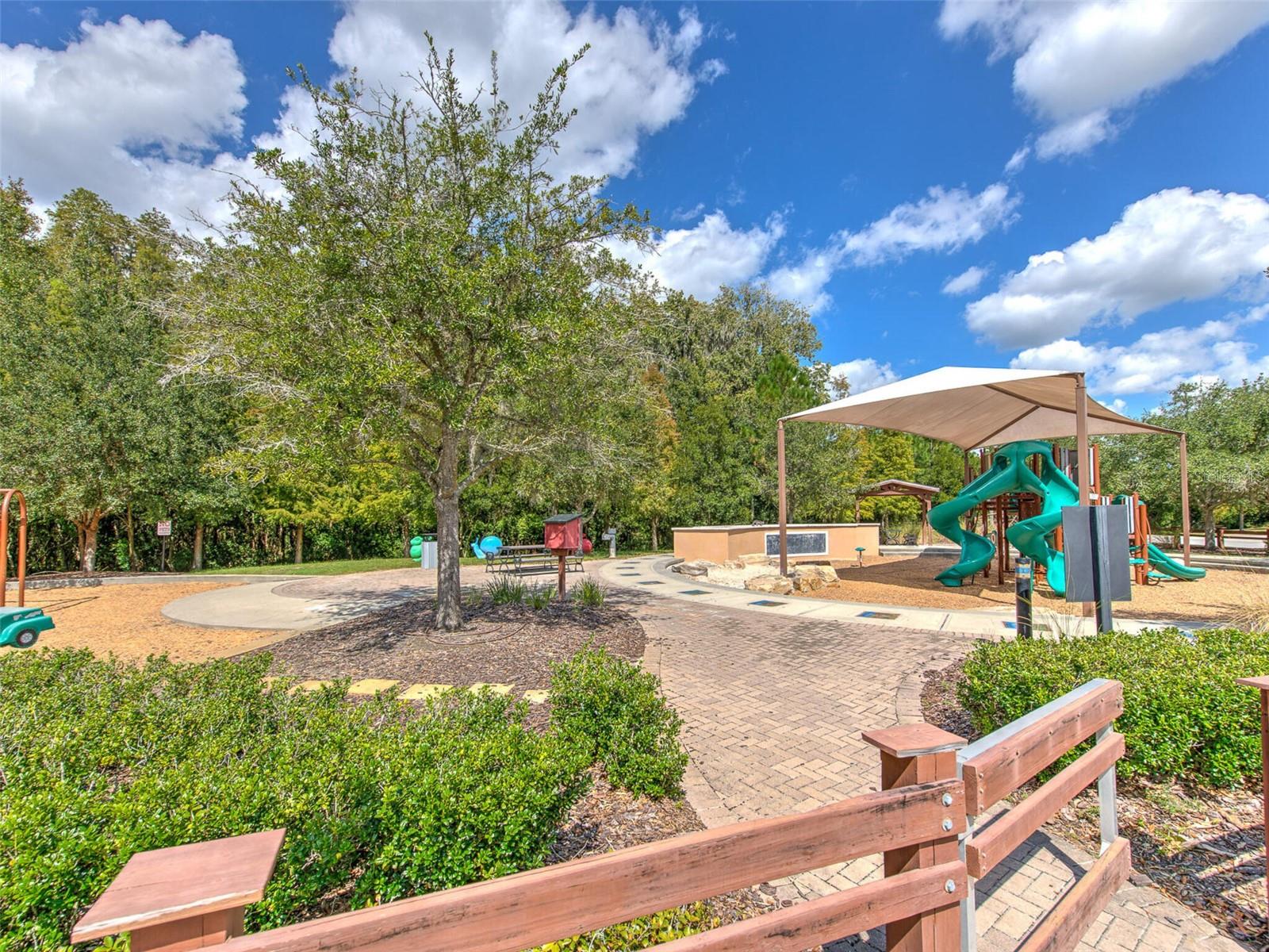 1677 Ludington Ave, Wesley Chapel, FL 33543
